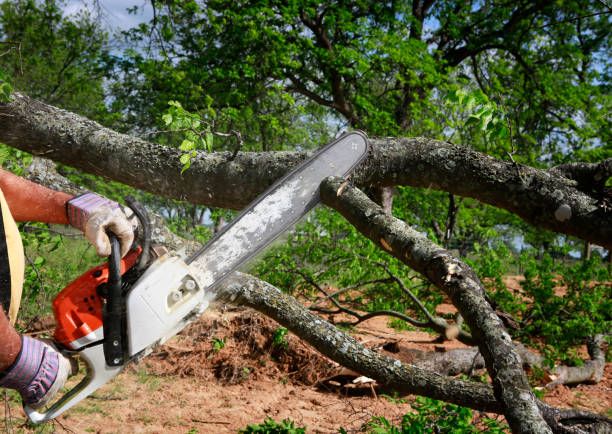 Lawn Grading and Leveling in Riesel, TX